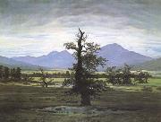 Caspar David Friedrich The Lone Tree painting